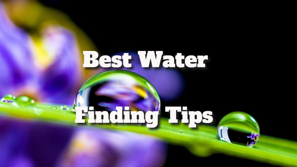 Best Water Finding Tips from a Survival Expert