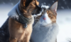 Protecting Pets in Cold Weather: Essential Tips to Know