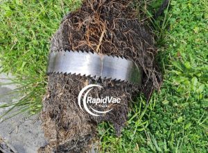 Vac Trucks Clear Blocked Drains Caused by Tree Roots