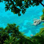 Belize 2025: Discover Winter Escapes from Rainforests to Reefs