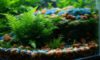 Aquascaping Basics: Essential Tips for Beginners