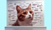 Cat Memes: Your Guide to Gaining Feline Internet Fame