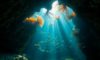 Belize Diving: Explore Unique Underwater Treasures Beyond the Blue Hole