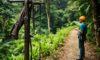 Zip Lining Adventures in Belize Rainforest: Canopy Tours