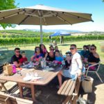 Yarrawood Estate: Explore Your Perfect Wine Journey