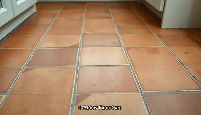 What Contributes to the Quick Accumulation of Dirt on Terracotta Floors?