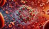 Ferritin Blood Test Guide: Essential Insights for Torquay Residents