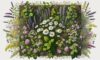 Herbal Remedies: Essential Guide for the UK